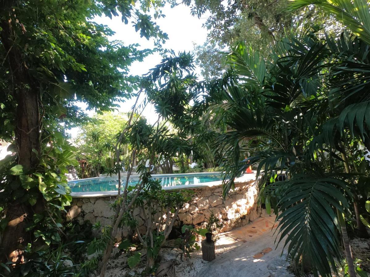 Hippie Villa Cancun Dış mekan fotoğraf