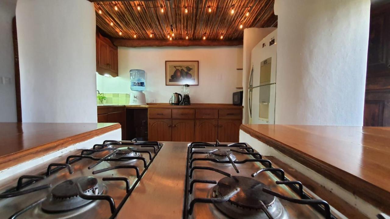 Hippie Villa Cancun Dış mekan fotoğraf