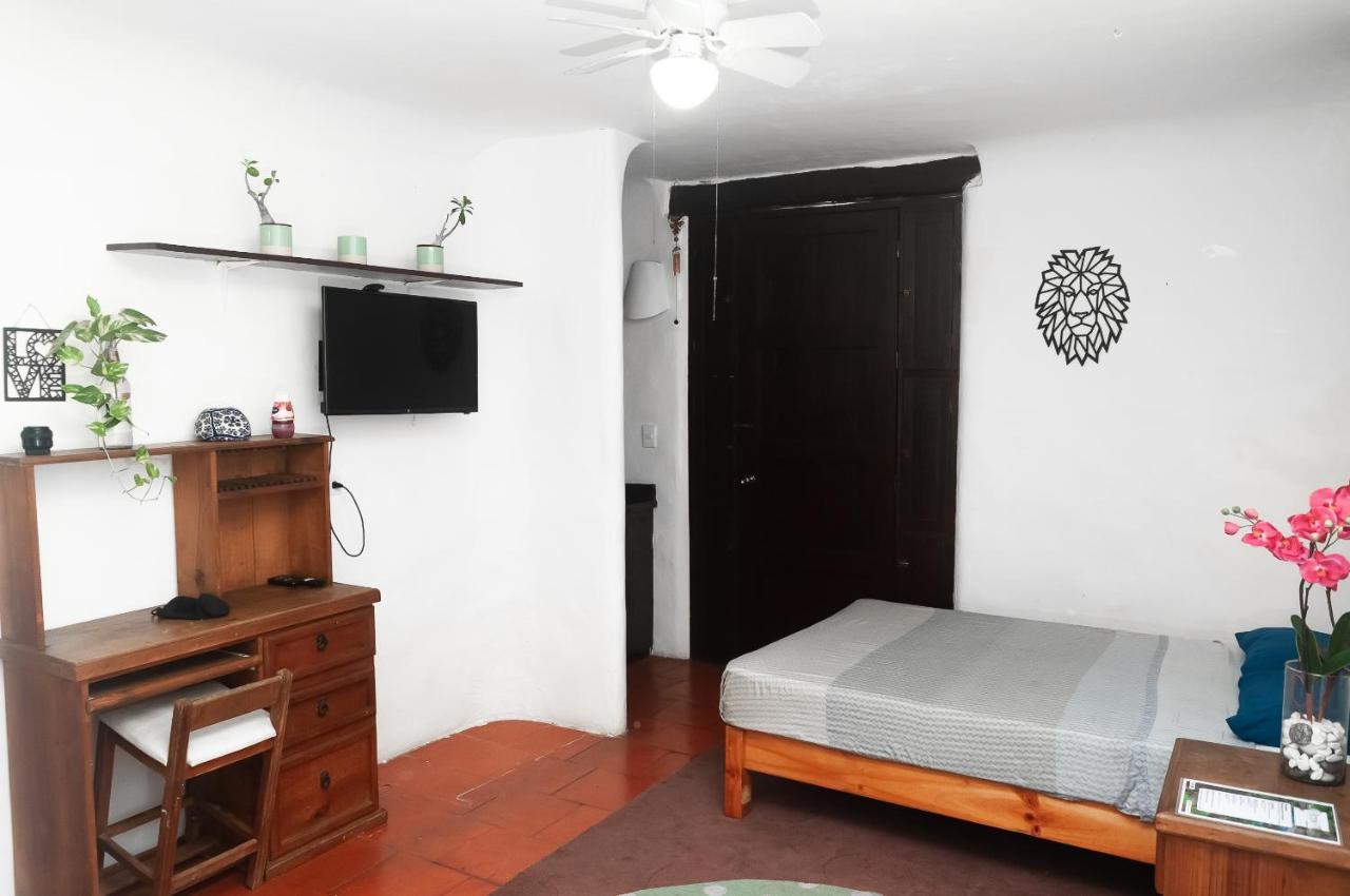 Hippie Villa Cancun Dış mekan fotoğraf